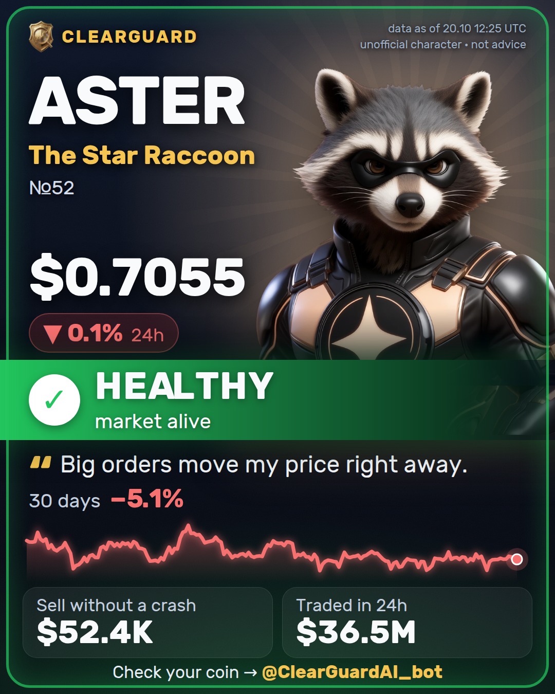 ASTER · The Star Raccoon — HEALTHY